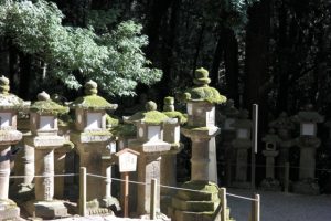 Nara, Kasuga Taisha
